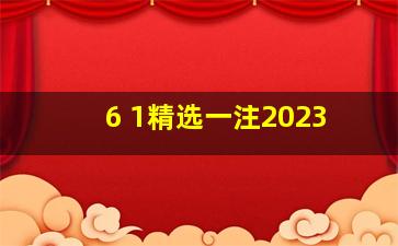 6 1精选一注2023